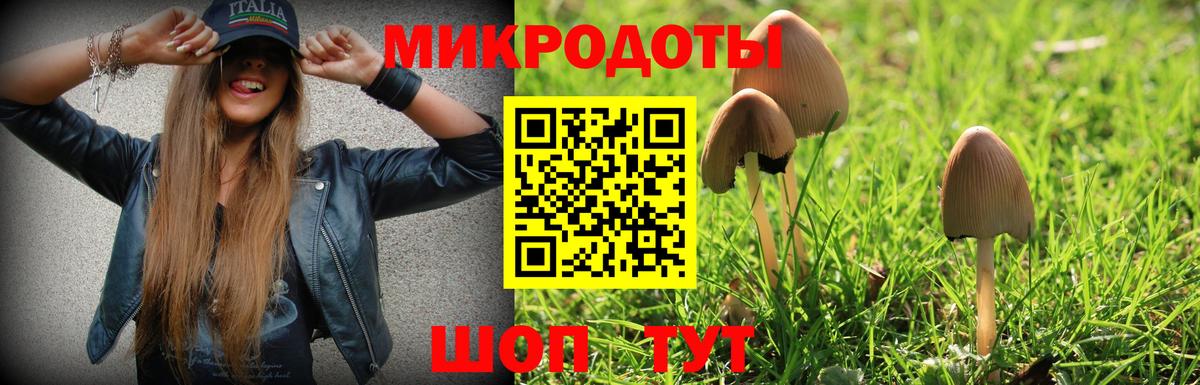 Псилоцибиновые грибы мицелий Дубна