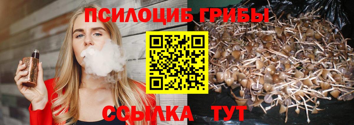 Псилоцибиновые грибы прущие грибы  Вход с VPN  Псилоцибиновые грибы Psilocybine cubensis  Дубна 